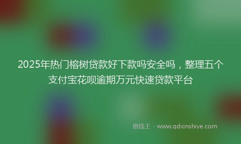 2025年热门榕树贷款好下款吗安全吗，整理五个支付宝花呗逾期万元快速贷款平台