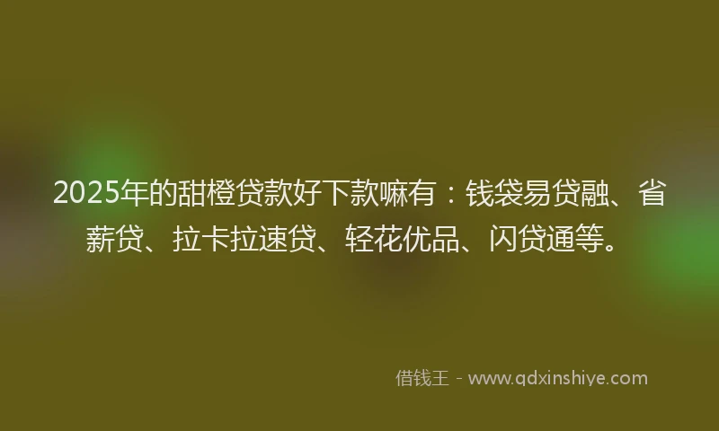 2025年的甜橙贷款好下款嘛有：钱袋易贷融、省薪贷、拉卡拉速贷、轻花优品、闪贷通等。