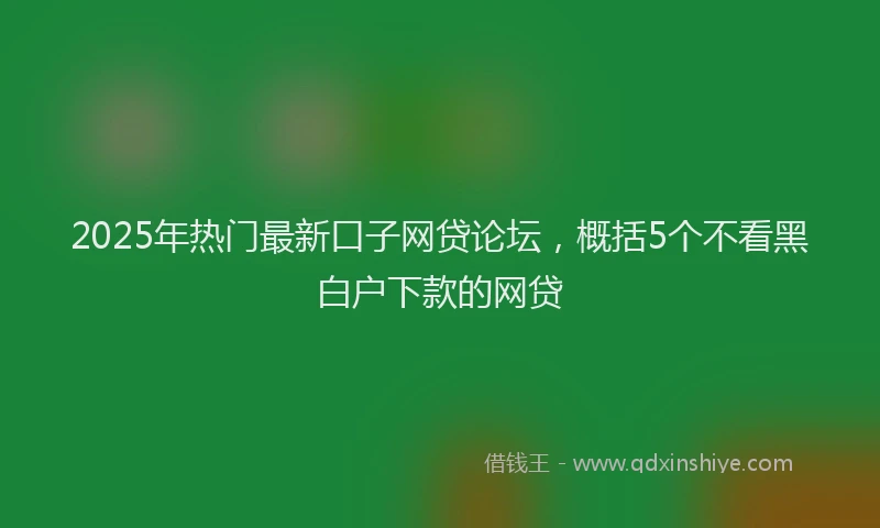 2025年热门最新口子网贷论坛，概括5个不看黑白户下款的网贷