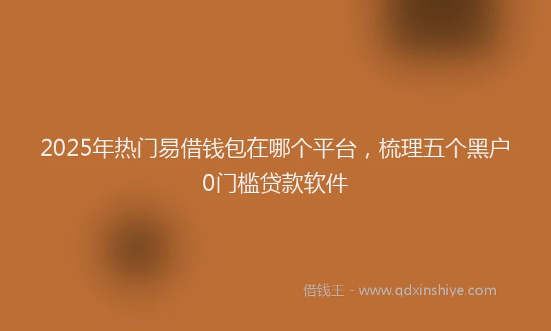 2025年热门易借钱包在哪个平台，梳理五个黑户0门槛贷款软件