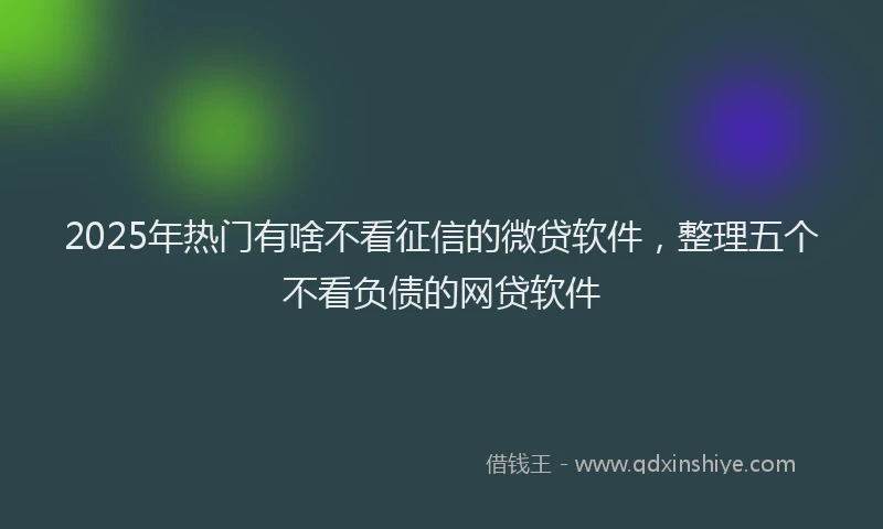 2025年热门有啥不看征信的微贷软件，整理五个不看负债的网贷软件