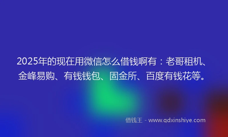 2025年的现在用微信怎么借钱啊有：老哥租机、金峰易购、有钱钱包、固金所、百度有钱花等。