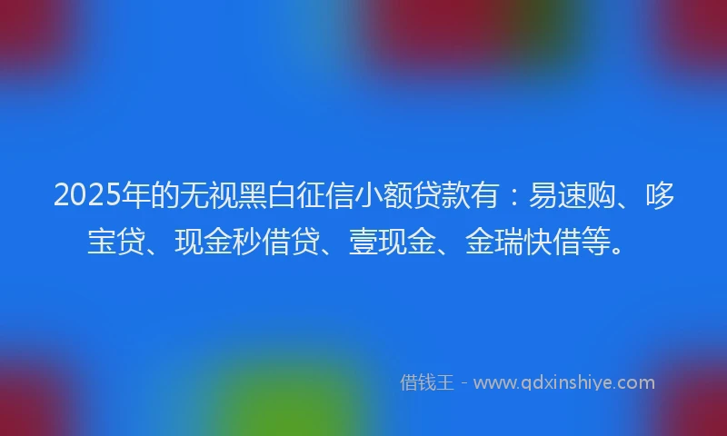 2025年的无视黑白征信小额贷款有：易速购、哆宝贷、现金秒借贷、壹现金、金瑞快借等。
