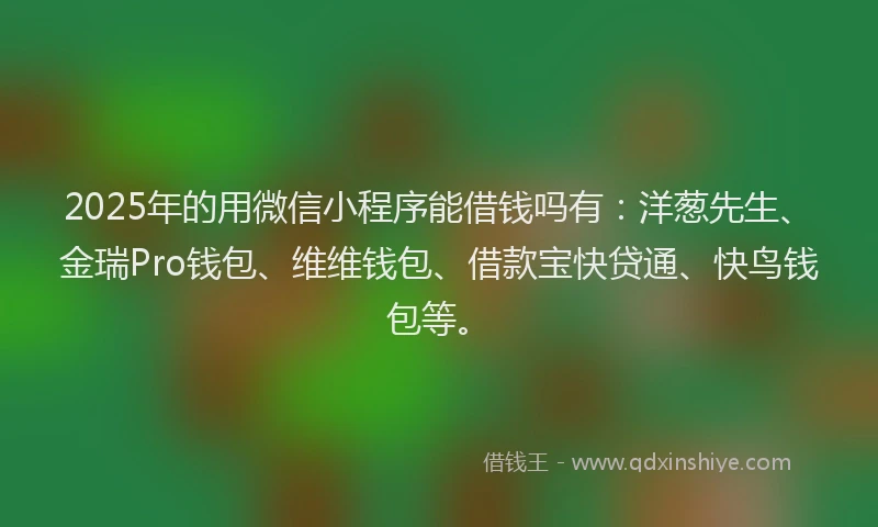 2025年的用微信小程序能借钱吗有：洋葱先生、金瑞Pro钱包、维维钱包、借款宝快贷通、快鸟钱包等。