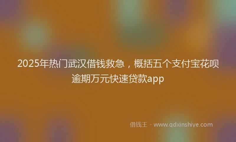 2025年热门武汉借钱救急，概括五个支付宝花呗逾期万元快速贷款app