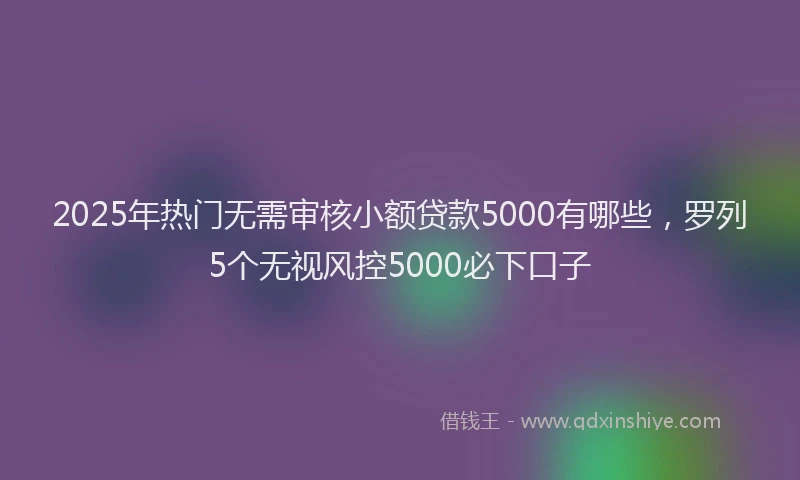 2025年热门无需审核小额贷款5000有哪些，罗列5个无视风控5000必下口子