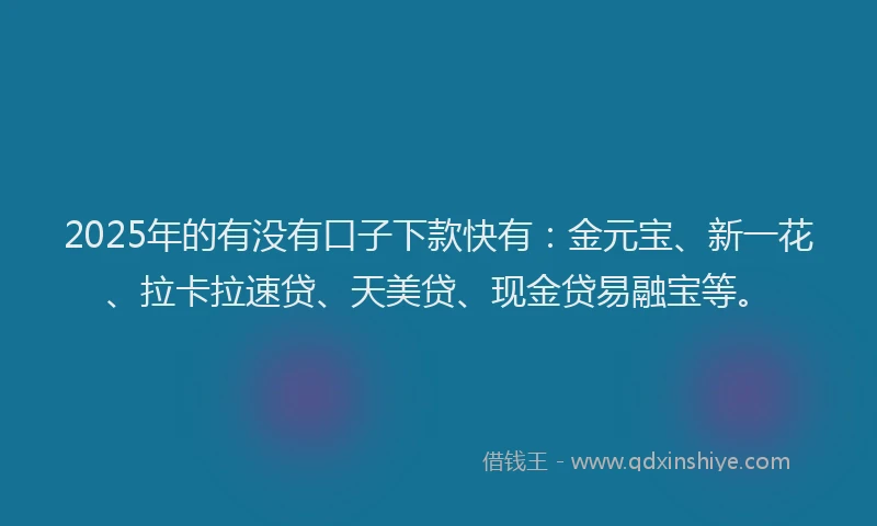 2025年的有没有口子下款快有：金元宝、新一花、拉卡拉速贷、天美贷、现金贷易融宝等。