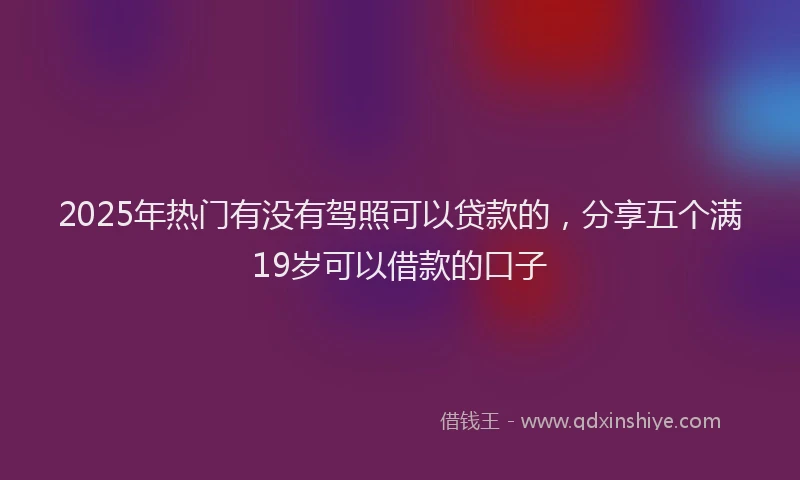 2025年热门有没有驾照可以贷款的，分享五个满19岁可以借款的口子