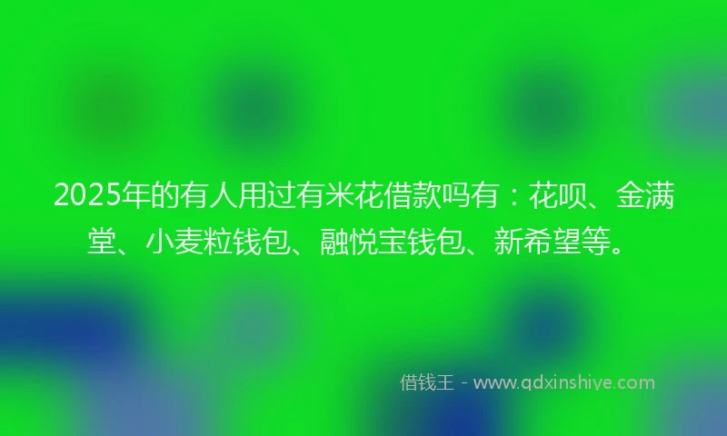 2025年的有人用过有米花借款吗有：花呗、金满堂、小麦粒钱包、融悦宝钱包、新希望等。