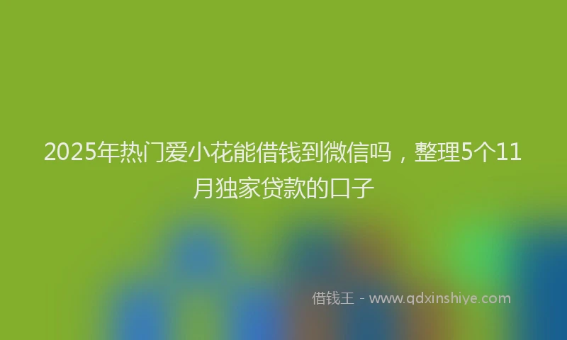 2025年热门爱小花能借钱到微信吗，整理5个11月独家贷款的口子