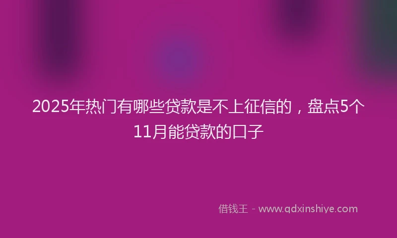 2025年热门有哪些贷款是不上征信的，盘点5个11月能贷款的口子