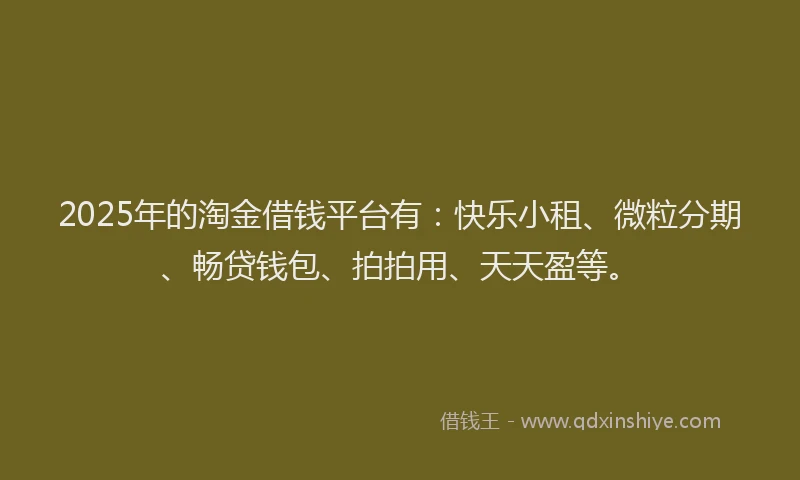 2025年的淘金借钱平台有：快乐小租、微粒分期、畅贷钱包、拍拍用、天天盈等。