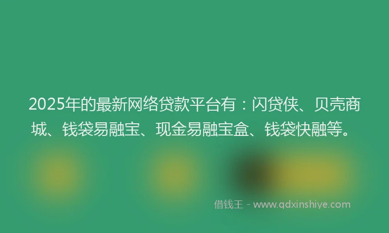 2025年的最新网络贷款平台有：闪贷侠、贝壳商城、钱袋易融宝、现金易融宝盒、钱袋快融等。
