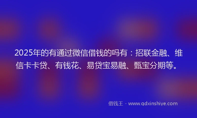 2025年的有通过微信借钱的吗有：招联金融、维信卡卡贷、有钱花、易贷宝易融、甄宝分期等。