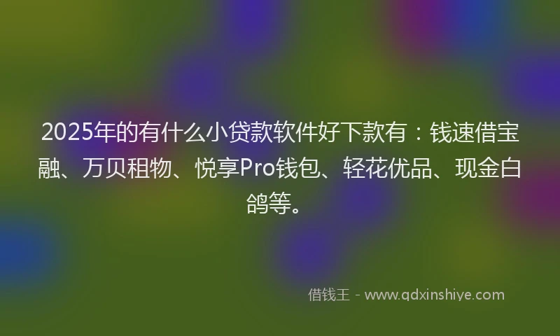 2025年的有什么小贷款软件好下款有：钱速借宝融、万贝租物、悦享Pro钱包、轻花优品、现金白鸽等。