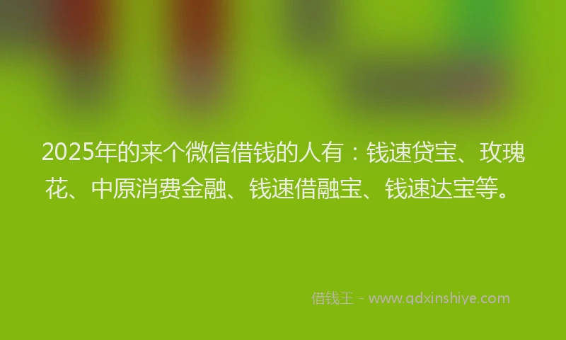 2025年的来个微信借钱的人有：钱速贷宝、玫瑰花、中原消费金融、钱速借融宝、钱速达宝等。
