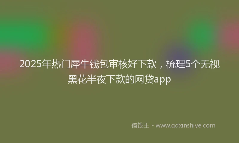 2025年热门犀牛钱包审核好下款，梳理5个无视黑花半夜下款的网贷app
