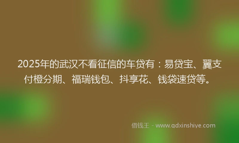 2025年的武汉不看征信的车贷有：易贷宝、翼支付橙分期、福瑞钱包、抖享花、钱袋速贷等。