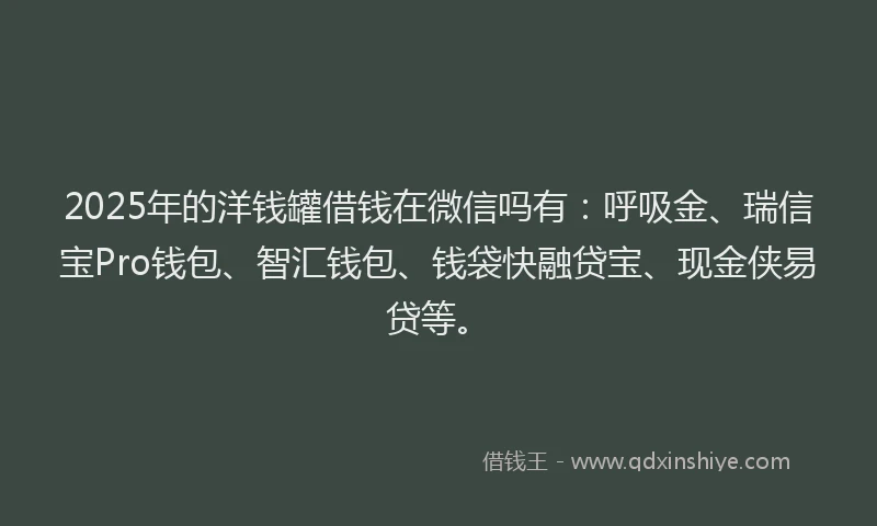 2025年的洋钱罐借钱在微信吗有：呼吸金、瑞信宝Pro钱包、智汇钱包、钱袋快融贷宝、现金侠易贷等。