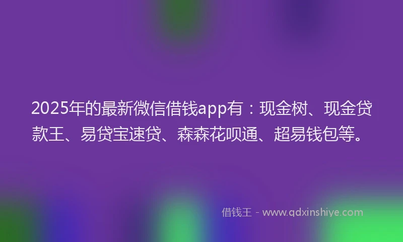 2025年的最新微信借钱app有：现金树、现金贷款王、易贷宝速贷、森森花呗通、超易钱包等。