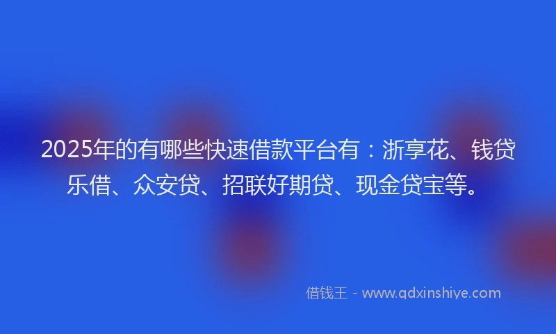 2025年的有哪些快速借款平台有：浙享花、钱贷乐借、众安贷、招联好期贷、现金贷宝等。