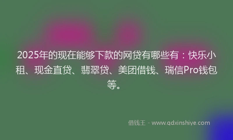 2025年的现在能够下款的网贷有哪些有：快乐小租、现金直贷、翡翠贷、美团借钱、瑞信Pro钱包等。