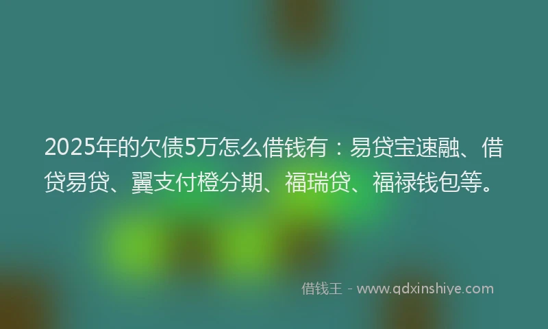 2025年的欠债5万怎么借钱有：易贷宝速融、借贷易贷、翼支付橙分期、福瑞贷、福禄钱包等。