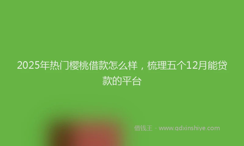 2025年热门樱桃借款怎么样，梳理五个12月能贷款的平台