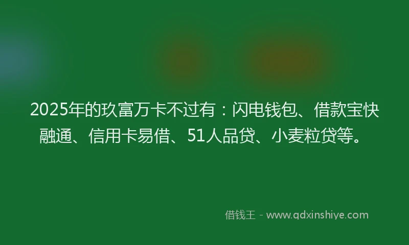 2025年的玖富万卡不过有：闪电钱包、借款宝快融通、信用卡易借、51人品贷、小麦粒贷等。