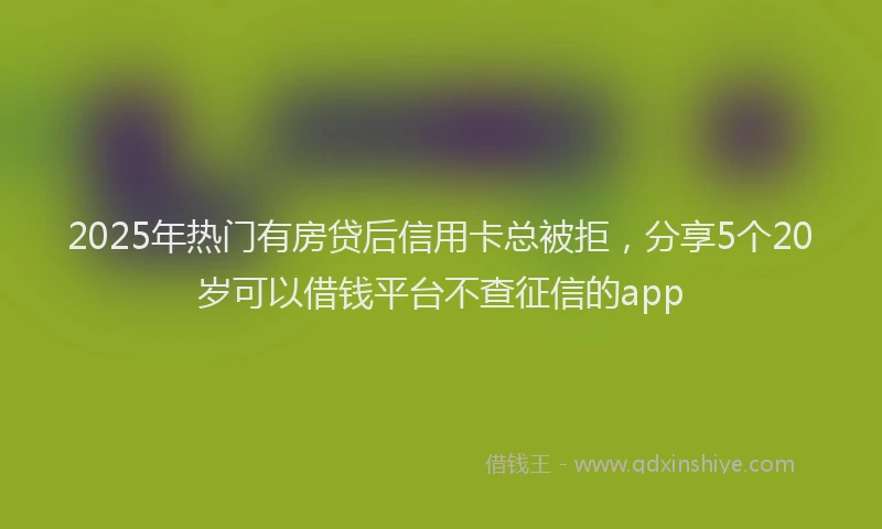 2025年热门有房贷后信用卡总被拒，分享5个20岁可以借钱平台不查征信的app