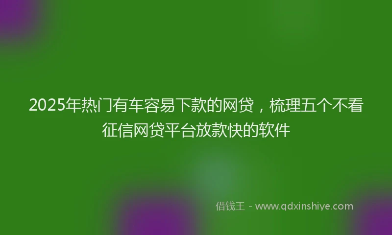 2025年热门有车容易下款的网贷，梳理五个不看征信网贷平台放款快的软件