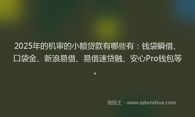 2025年的机审的小额贷款有哪些有：钱袋瞬借、口袋金、新浪易借、易借速贷融、安心Pro钱包等。