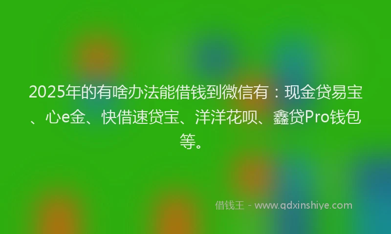 2025年的有啥办法能借钱到微信有：现金贷易宝、心e金、快借速贷宝、洋洋花呗、鑫贷Pro钱包等。