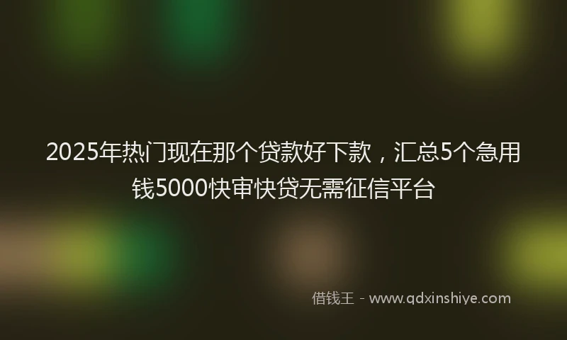 2025年热门现在那个贷款好下款，汇总5个急用钱5000快审快贷无需征信平台