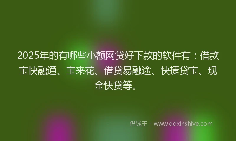 2025年的有哪些小额网贷好下款的软件有：借款宝快融通、宝来花、借贷易融途、快捷贷宝、现金快贷等。