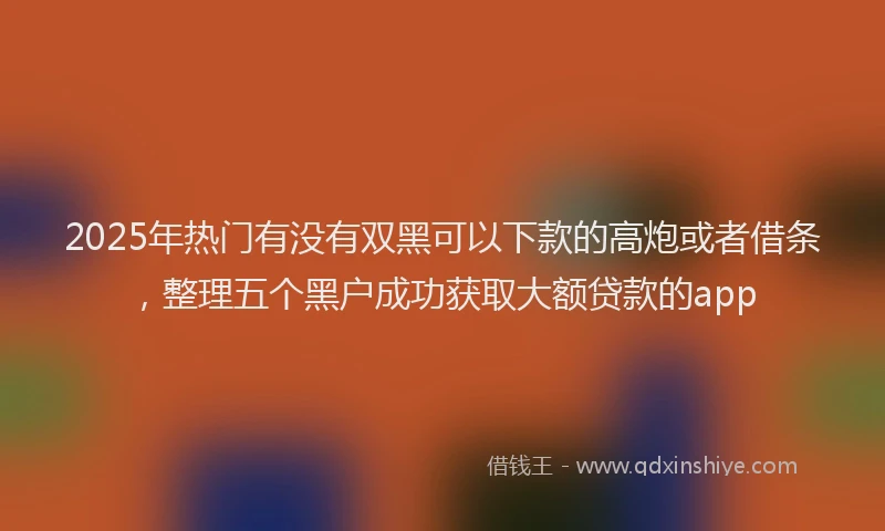 2025年热门有没有双黑可以下款的高炮或者借条，整理五个黑户成功获取大额贷款的app