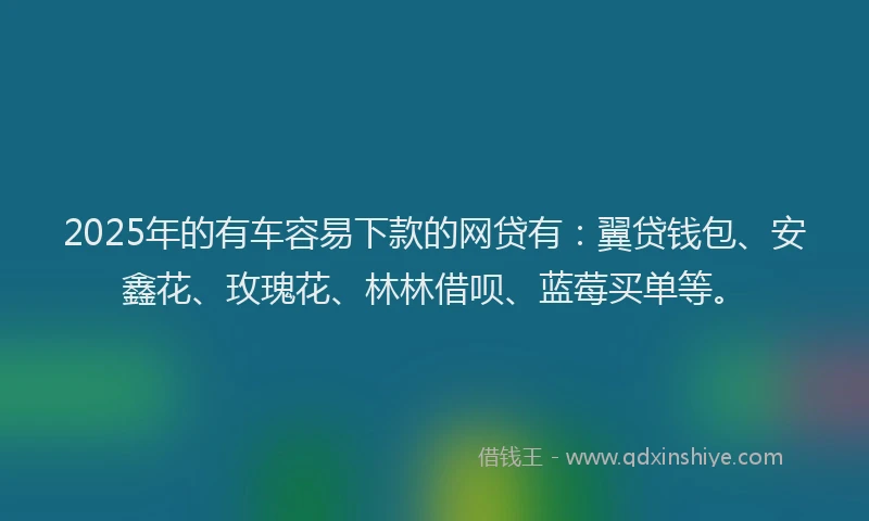 2025年的有车容易下款的网贷有：翼贷钱包、安鑫花、玫瑰花、林林借呗、蓝莓买单等。