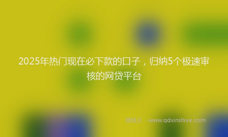 2025年热门现在必下款的口子，归纳5个极速审核的网贷平台