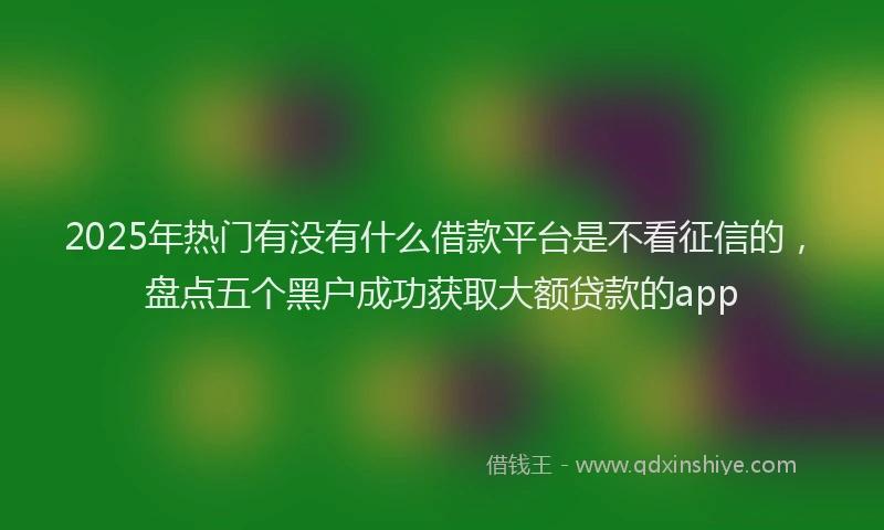 2025年热门有没有什么借款平台是不看征信的，盘点五个黑户成功获取大额贷款的app