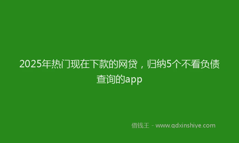 2025年热门现在下款的网贷，归纳5个不看负债查询的app