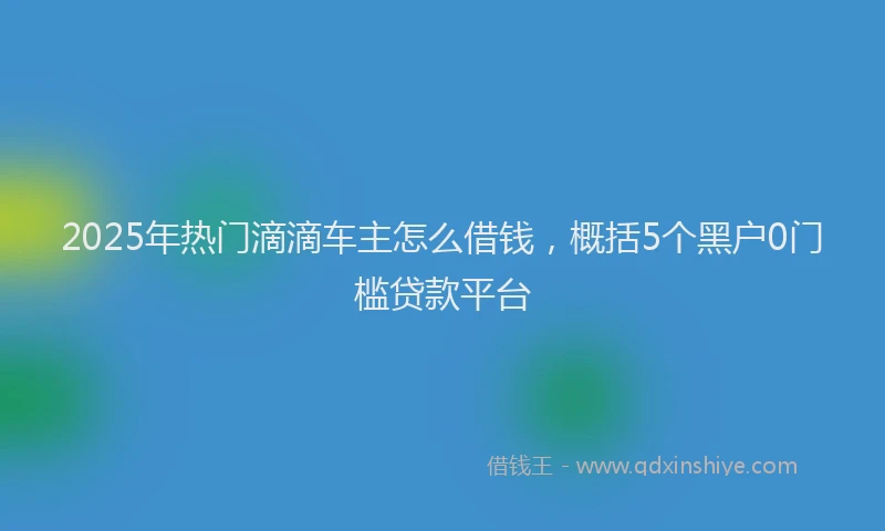 2025年热门滴滴车主怎么借钱，概括5个黑户0门槛贷款平台
