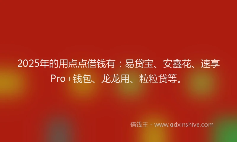 2025年的用点点借钱有：易贷宝、安鑫花、速享Pro+钱包、龙龙用、粒粒贷等。