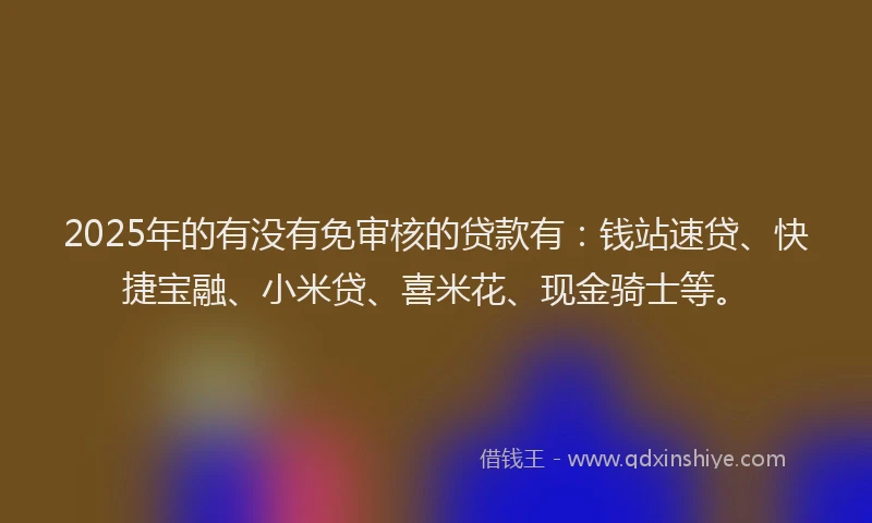 2025年的有没有免审核的贷款有：钱站速贷、快捷宝融、小米贷、喜米花、现金骑士等。