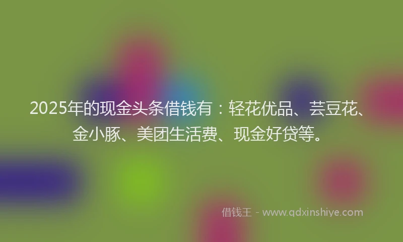 2025年的现金头条借钱有：轻花优品、芸豆花、金小豚、美团生活费、现金好贷等。