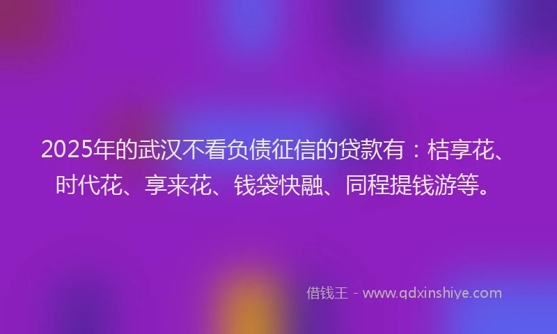 2025年的武汉不看负债征信的贷款有：桔享花、时代花、享来花、钱袋快融、同程提钱游等。