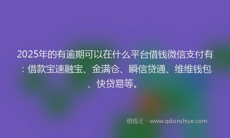 2025年的有逾期可以在什么平台借钱微信支付有：借款宝速融宝、金满仓、瞬信贷通、维维钱包、快贷易等。