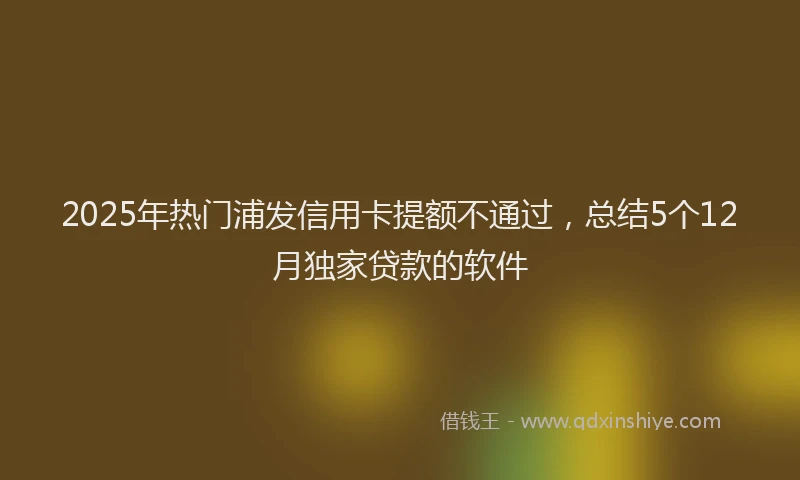 2025年热门浦发信用卡提额不通过，总结5个12月独家贷款的软件
