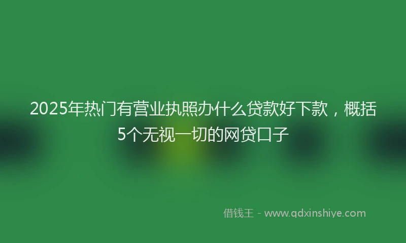 2025年热门有营业执照办什么贷款好下款，概括5个无视一切的网贷口子