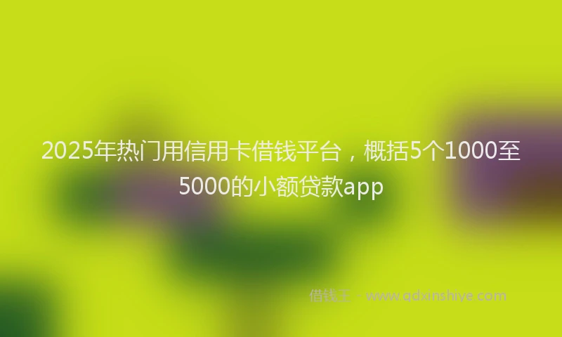 2025年热门用信用卡借钱平台，概括5个1000至5000的小额贷款app