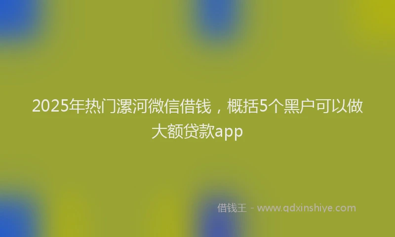 2025年热门漯河微信借钱，概括5个黑户可以做大额贷款app